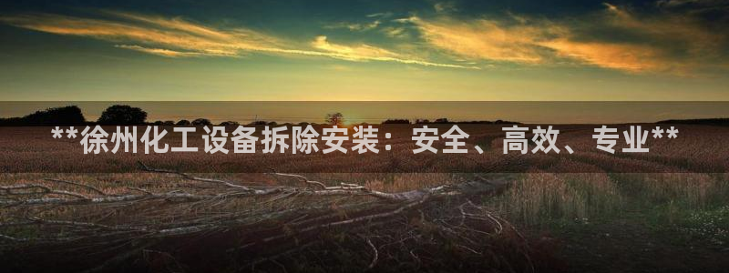 新城平台登录入口官网下载app