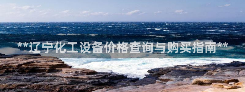 新城平台登录入口网站