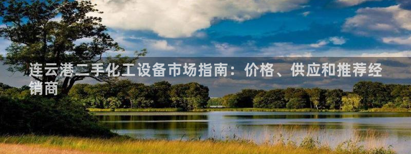 新城平台注册公司流程图