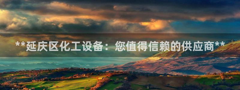 新城平台企业信息查询