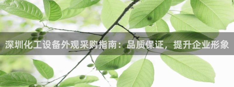 新城平台注册登录地址