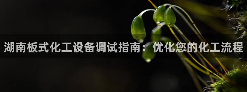 新城平台线路登录不上去了