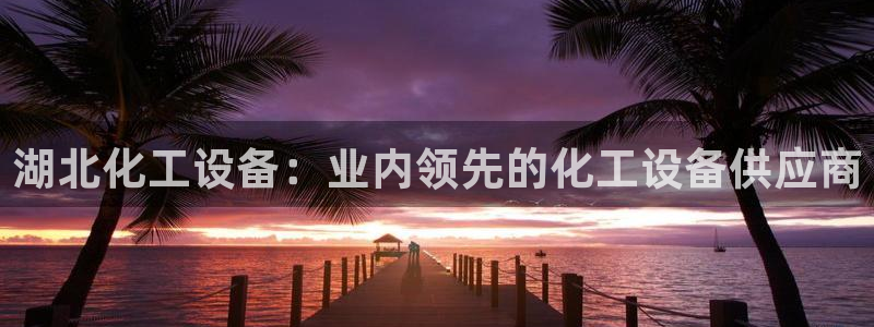 新城平台登录入口官网网址是多少