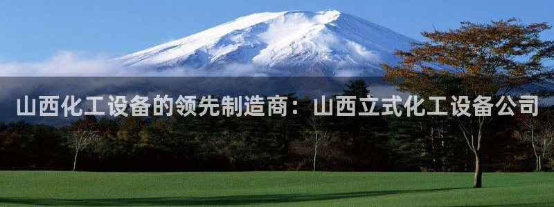 新城平台总代理是谁
