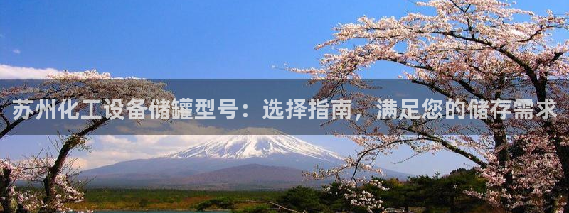 新城平台是干嘛的公司啊