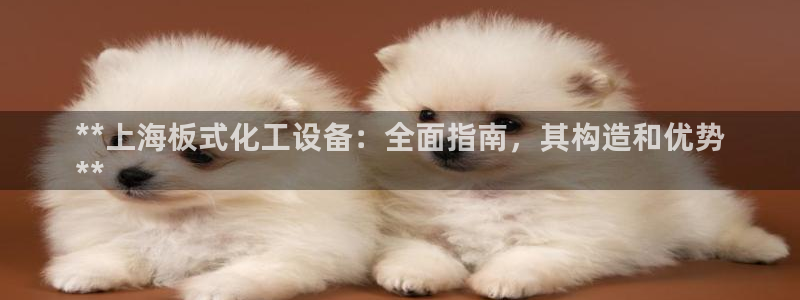 新城平台注册公司流程视频