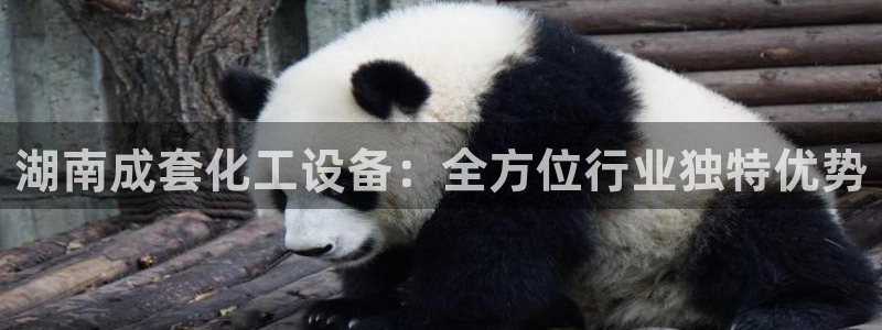 新城平台登录密码忘了