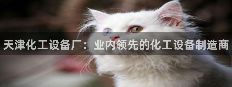 新城平台登录入口网址
