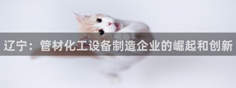 新城平台游戏