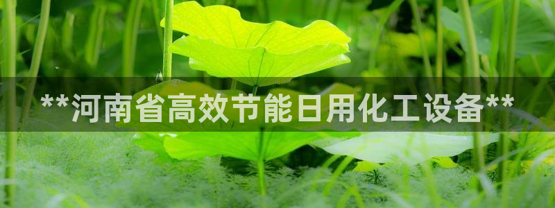 新城平台是干嘛的