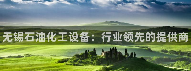 新城平台注册公司流程及费用