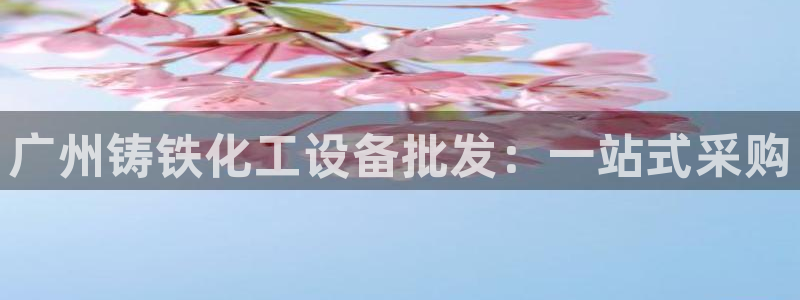 新城平台注册资金多少