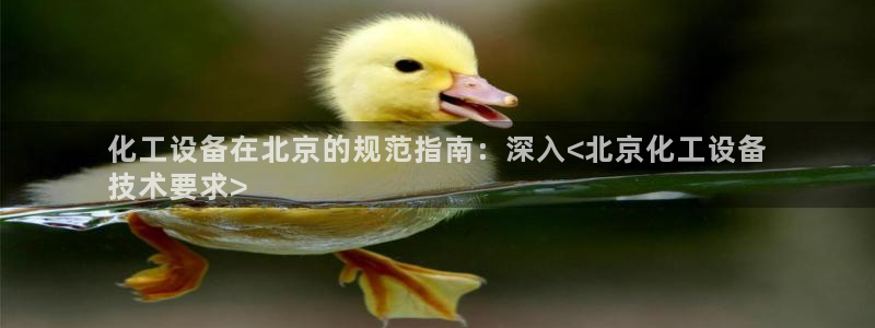 新城平台负责人是谁