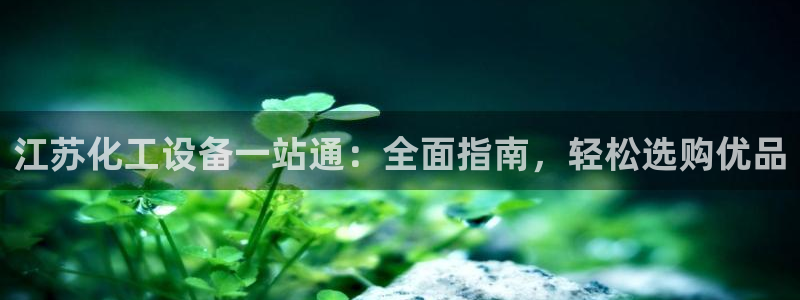 新城平台登录入口官网查询