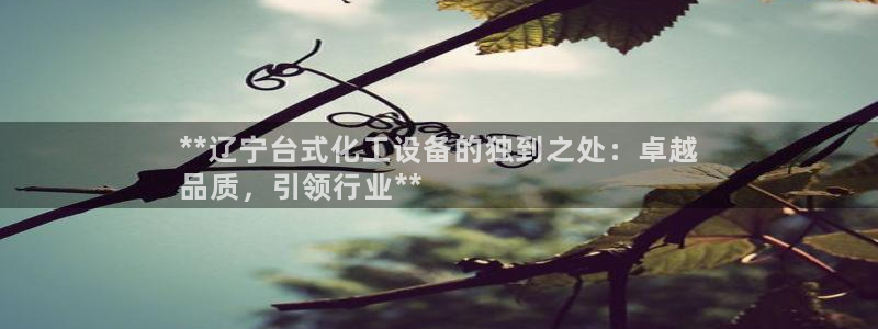 新城平台企业信息查询