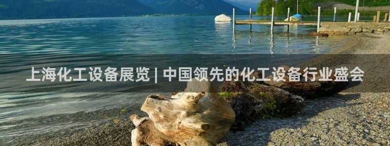 新城平台线路登录不上去了