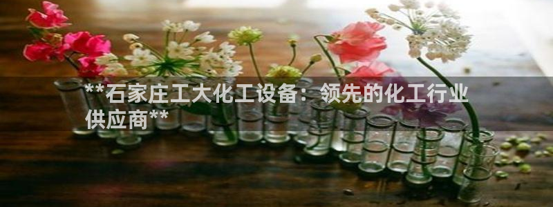 新城平台登录入口官网首页查询