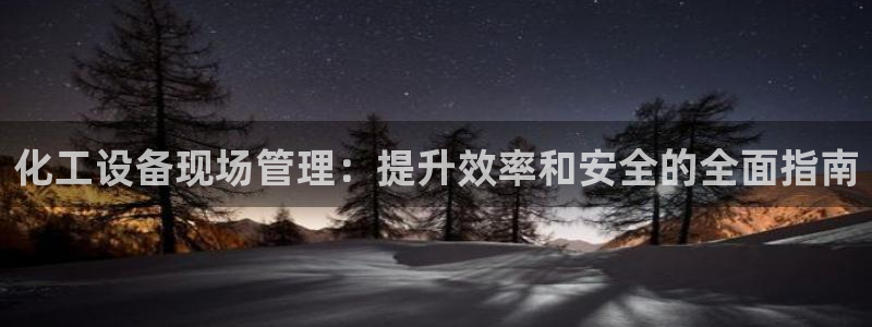 新城平台总代理是谁