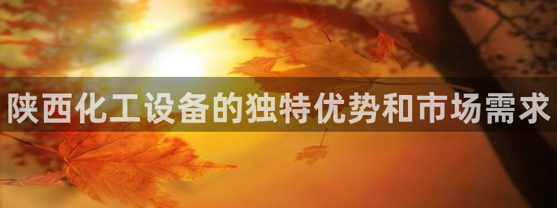 新城平台负责人