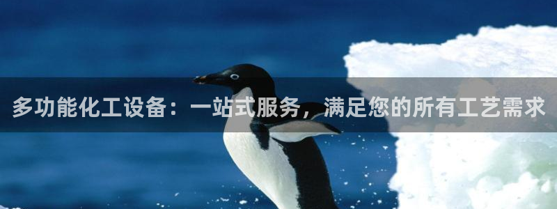 新城平台登录密码忘了
