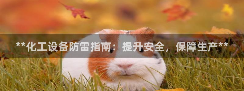 新城平台线路登录不上去怎么办呢