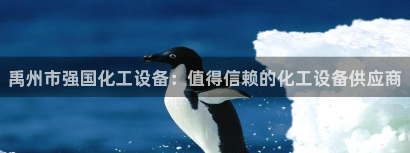 新城平台官网注册账号