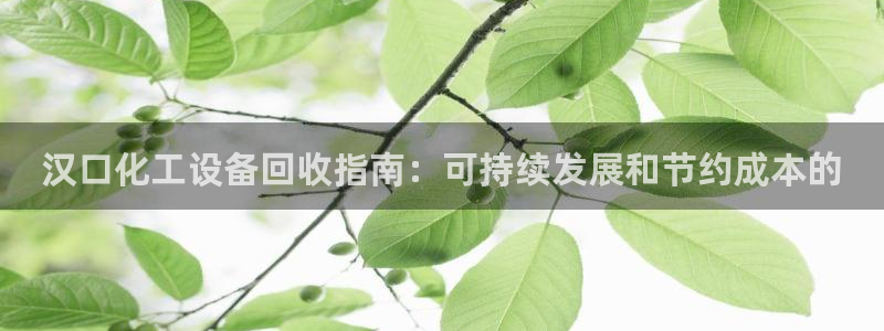 新城平台价7O777