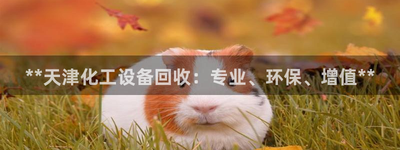 新城平台注册网址查询