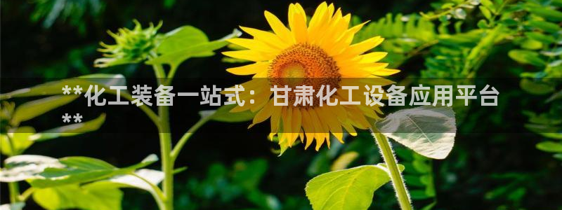 新城平台注册流程