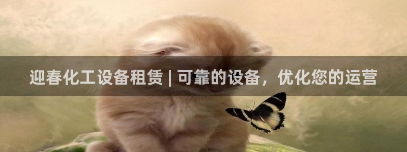 新城平台注册流程图