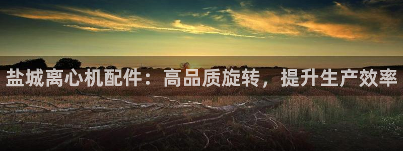 新城平台开户