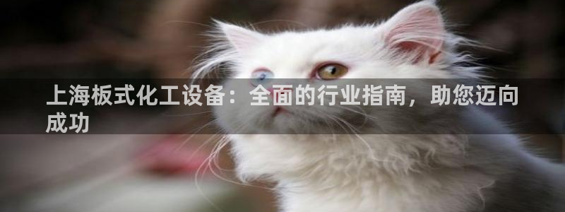 新城平台登录入口官网查询系统