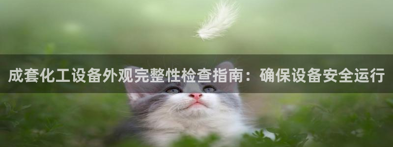 新城平台注册流程及费用