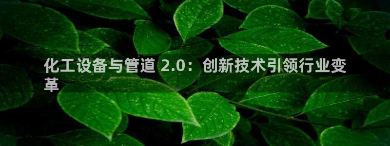 新城平台公司