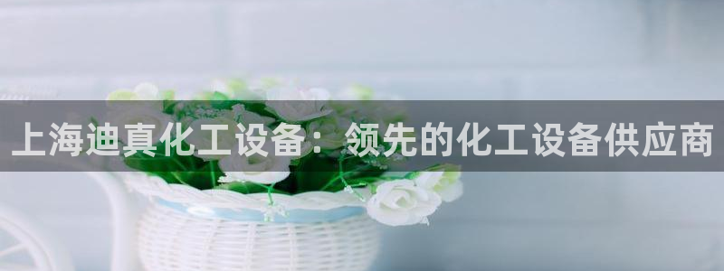 新城平台是干嘛的公司有哪些