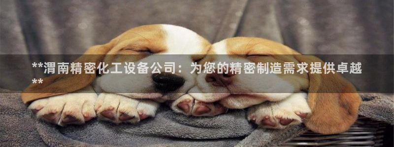 新城平台代理注册条件
