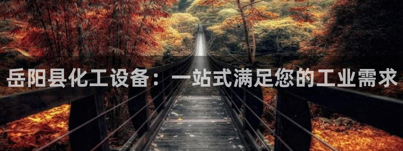 新城平台线路登录不上去怎么办呀