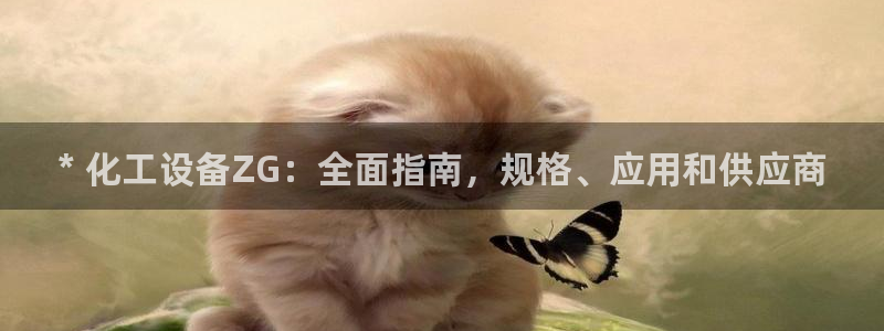 新城平台负责人电话