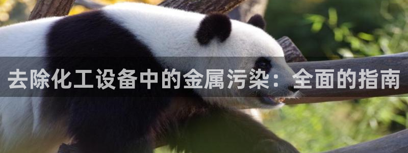 新城平台线路登录不上去了