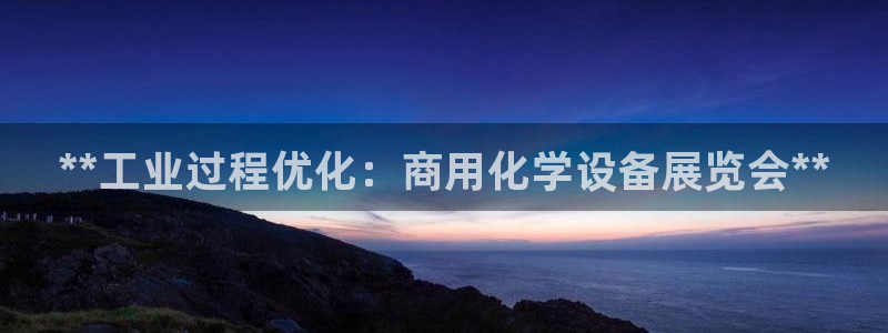 新城平台登录入口官网