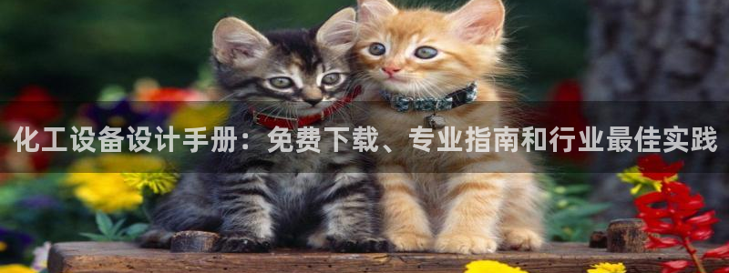 新城平台注册登录地址是什么