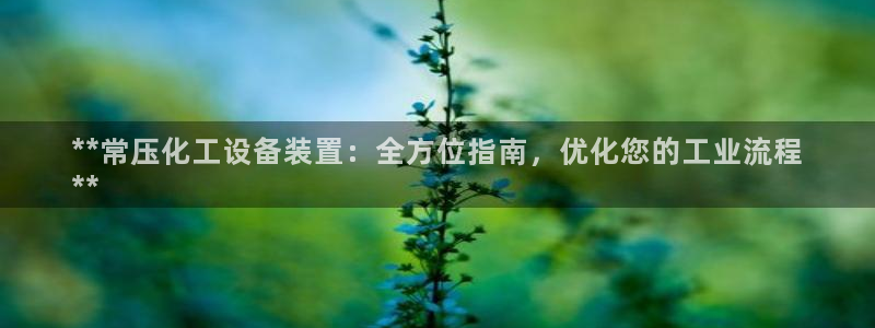 新城平台怎么样
