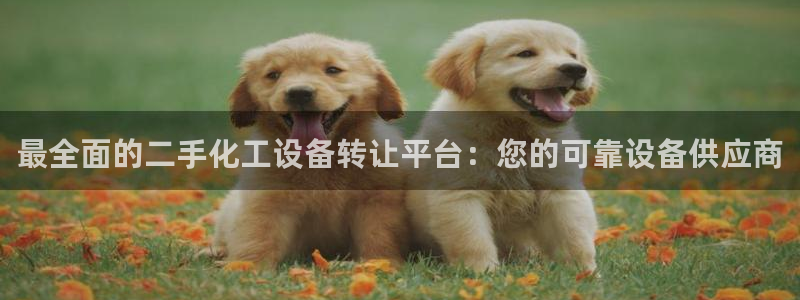 新城平台开户