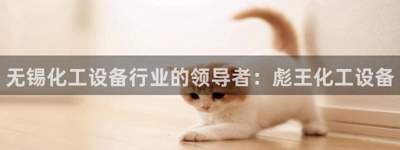 新城平台注册公司流程图