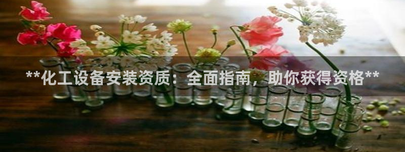 新城平台登录入口