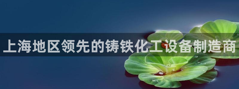 新城平台官网注册账号