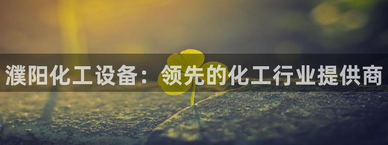 新城平台登录入口官网首页