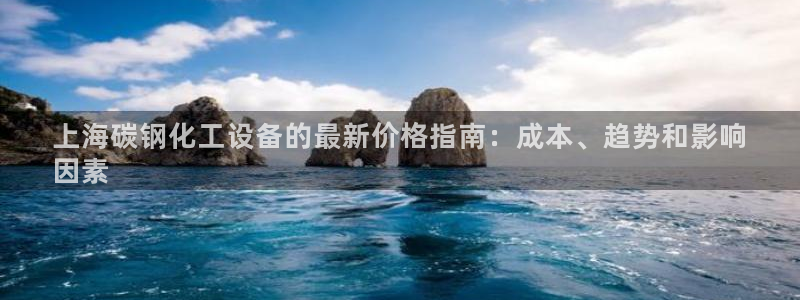 新城平台是干嘛的公司啊