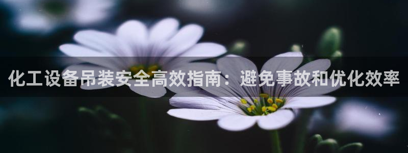 新城平台注册网址是多少