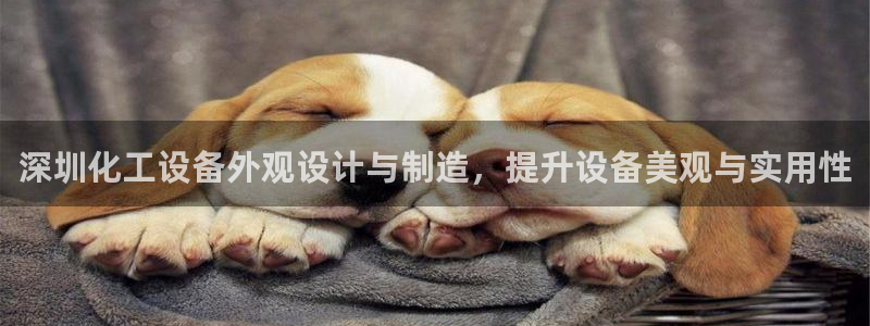 新城平台平台最新活动有哪些